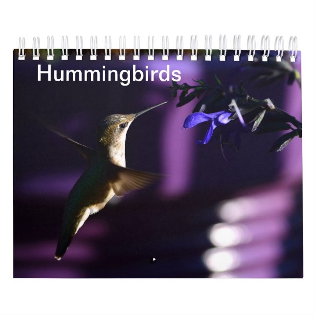 Calendário Hummingbird (Capa)