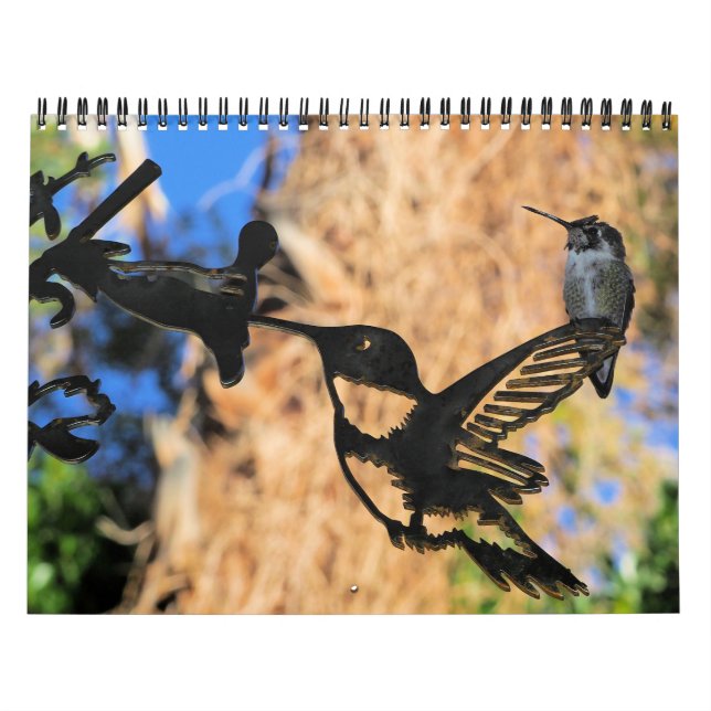 Calendário HUMMINGBIRD 2022 (Capa)