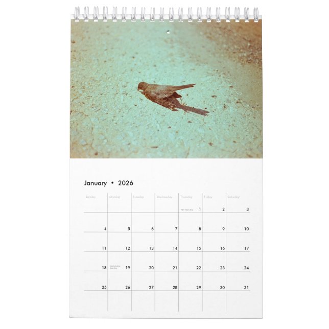 Calendário Humor: 2019 (Jan 2026)