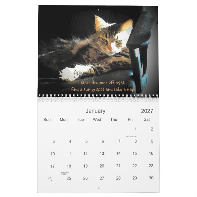 Calendário Humores de um anjo mal-humorado (Jan 2027)