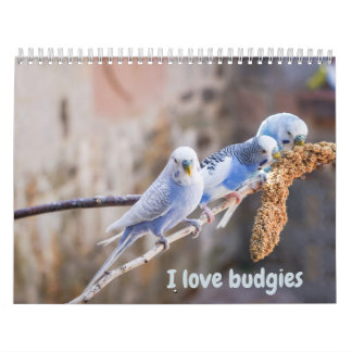 Calendário I love budgies - snapshots of the little birds
