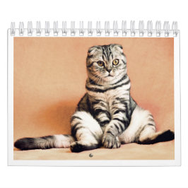 Calendário I love cats calendar 2026