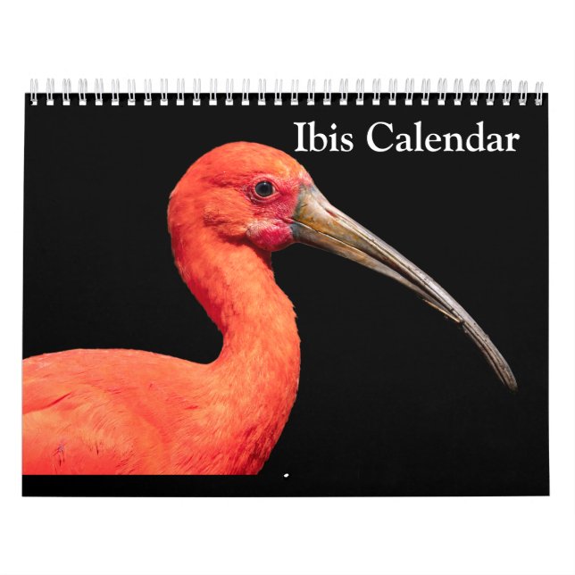 Calendário Ibis 2025 (Capa)