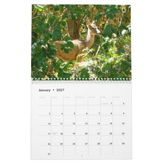 Calendário Idaho (Jan 2027)