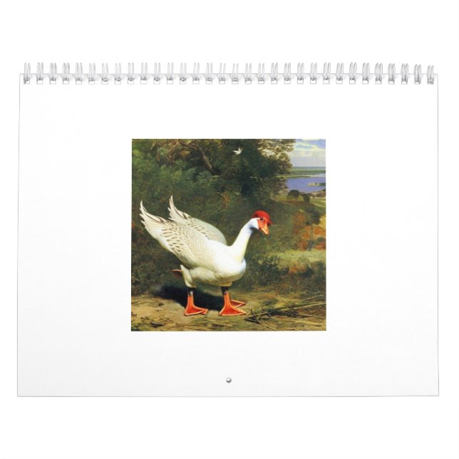 Calendário IGF 2025 (Capa)