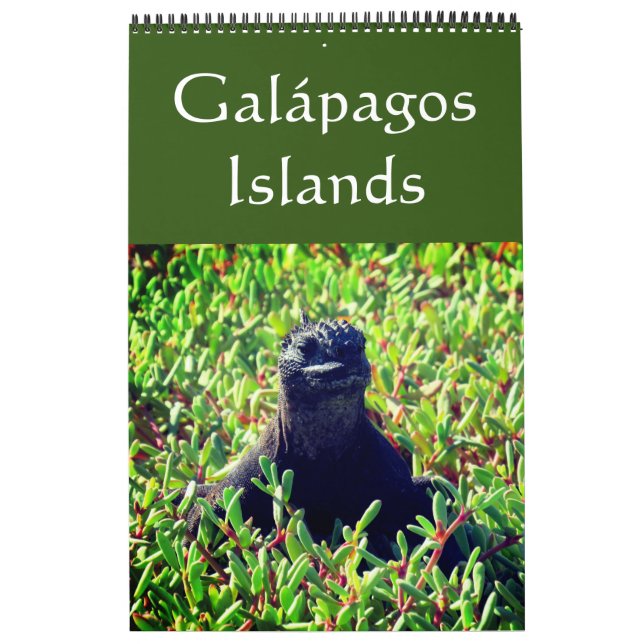 Calendário Ilhas Galápagos (Capa)