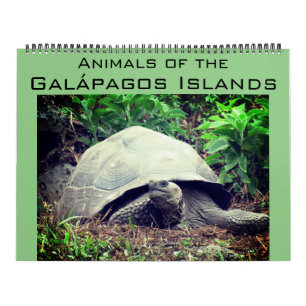 Calendário ilhas galápagos animais 2026 grande