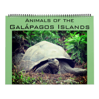 Calendário ilhas galápagos animais 2026 grande