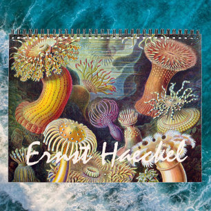 Calendário Ilustrações antigas de Ernst Haeckel, Biologia, Bo