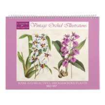 Ilustrações Botânicas de Orquídeas Vintage 2027