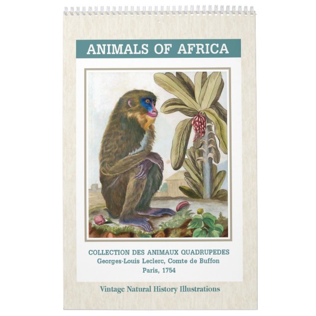 Calendário Ilustrações de Animais da África Vintage 2026 (Capa)
