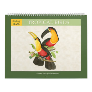 Calendário Ilustrações de Aves Tropicais Vintage 2026
