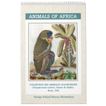 Ilustrações Vintage de Animais Africanos 2027