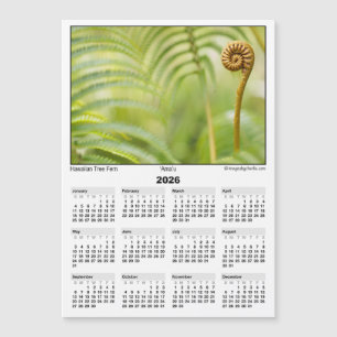 Calendário Ímã 5x7 de 2026 Amau Samambaia Havaiana