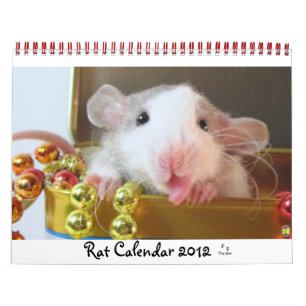 Calendário Imagem do Rat 2012