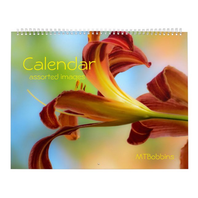 Calendário - imagens Assorted - com grandes (Capa)