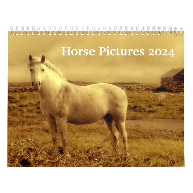Calendário Imagens Belas sobre Cavalos 2024 (Capa)