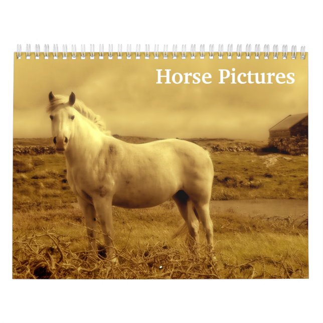 Calendário Imagens de Cavalos 2027  (Capa)