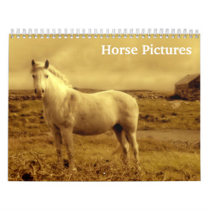 Calendário Imagens de Cavalos 2027