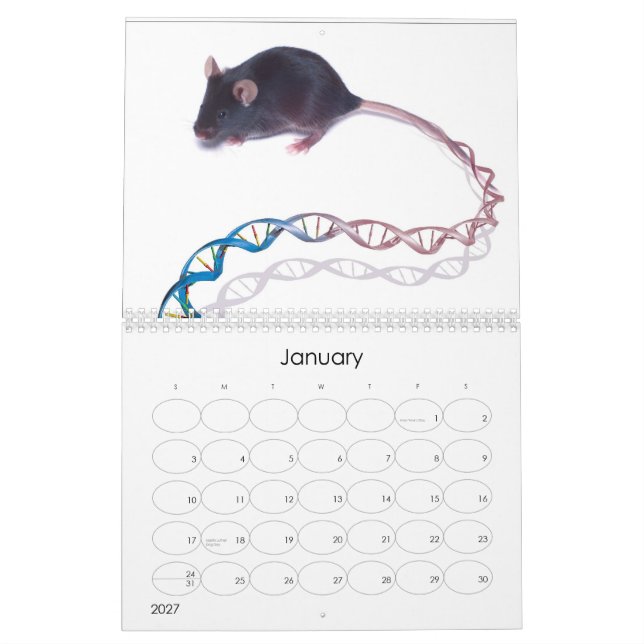 Calendário Imagens do Projeto Genoma Humano (Jan 2027)