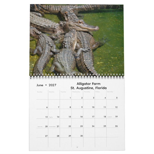 Calendário Impressions of Florida 2026 Calendar (Jun 2027)