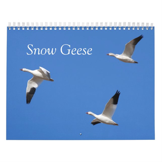 Calendário impresso costume dos gansos de neve (Capa)
