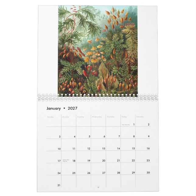 Calendário Impressões de Ernst Haeckel (Jan 2027)