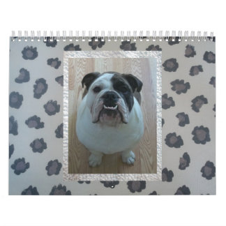 Calendário inglês do buldogue!