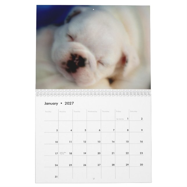 Calendário inglês dos filhotes de cachorro 2013 do (Jan 2027)