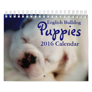 Calendário inglês dos filhotes de cachorro 2016 do