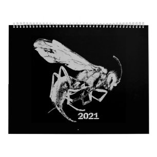 Calendário Insetos de estilo minimalista preto-e-branco - Ins