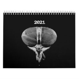 Calendário Insetos - Insetos - Insetos Pet