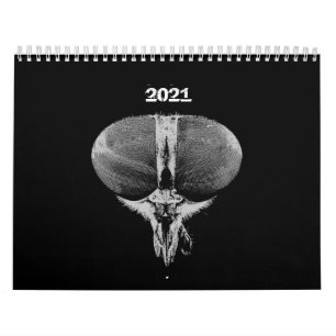 Calendário Insetos - Insetos - Insetos Pet