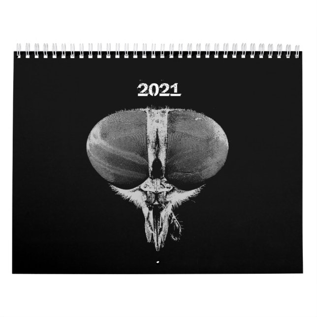 Calendário Insetos - Insetos - Insetos Pet (Capa)