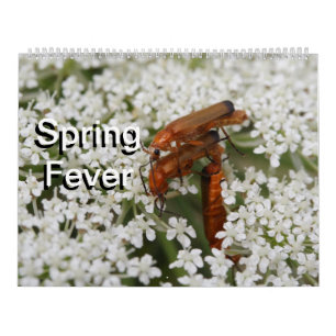 Calendário Insetos Macros 2024 Kalender