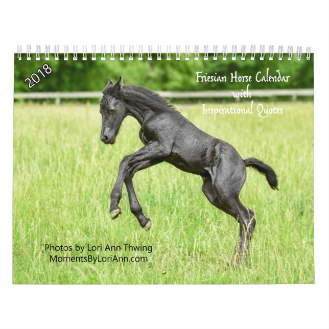 Calendário inspirado do cavalo do frisão 2018 (Capa)