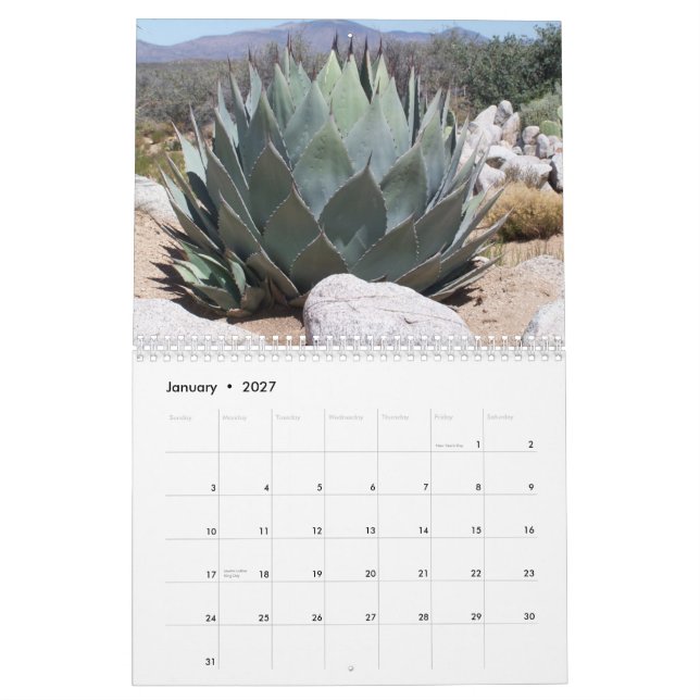 Calendário Instantâneos (Jan 2027)
