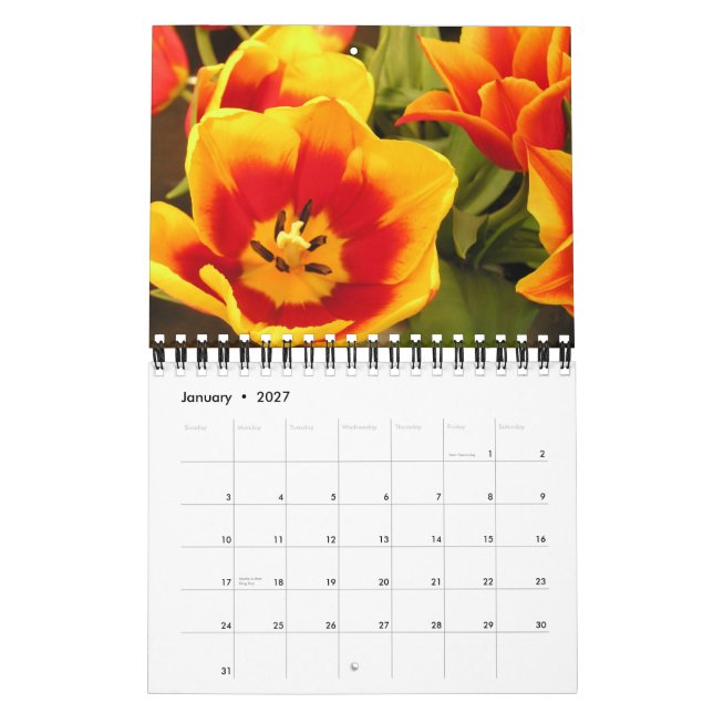 Calendário irlandês do festival da tulipa (Jan 2027)