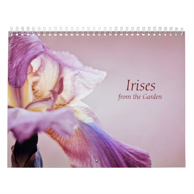 Calendário irrompe do Jardim (Capa)