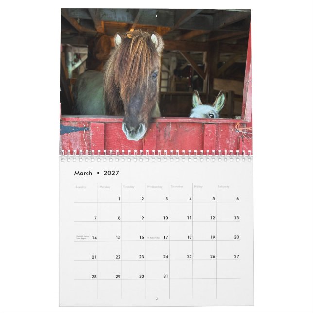 Calendário islandês dos Cavalos e Mini Donkey (Mar 2027)