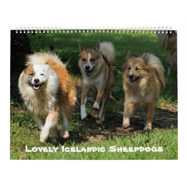 Calendário IslandêsSheepdog20151001 (Capa)