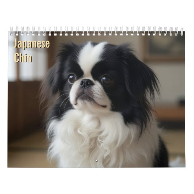 Calendário Japonês Chin 2027 (Capa)