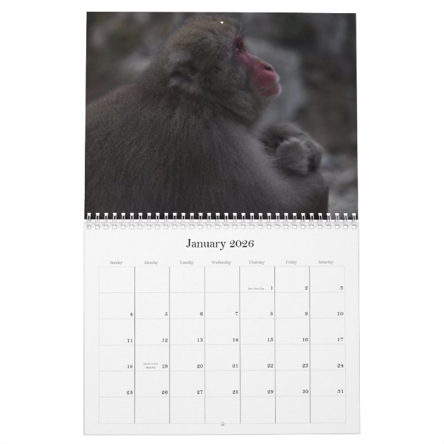 Calendário japonês dos Macaques (Jan 2026)