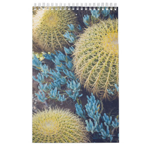 Calendário Jardim Boho Cactus