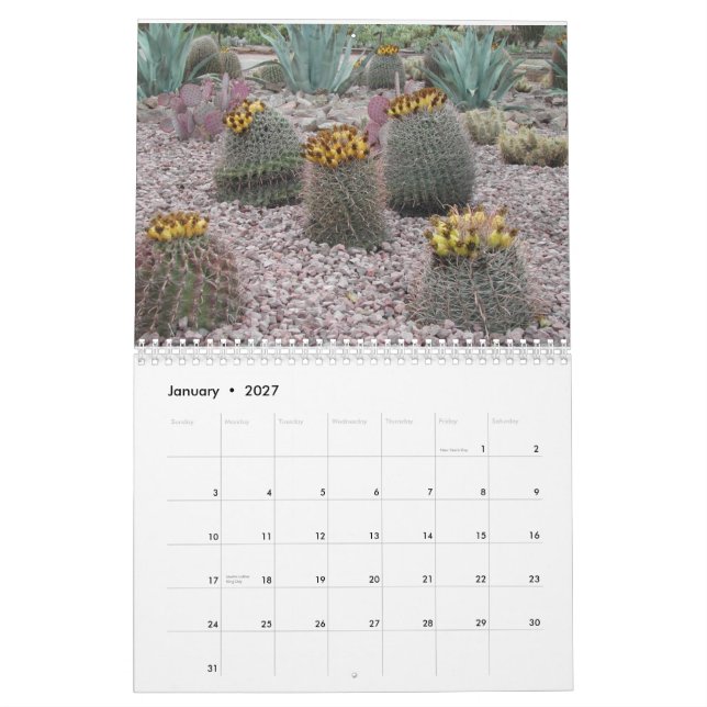 Calendário Jardim botânico do deserto (Jan 2027)