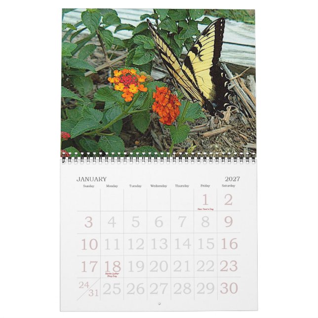 Calendário Jardim de Donna 2007 (Jan 2027)