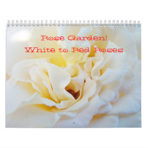 Calendário Jardim de rosas! Branco da fotografia dos