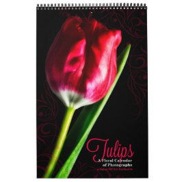 Calendário Jardim de Tulipas de Comprimento de Cheio Vibrante