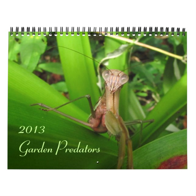 Calendário Jardineiros 2013 (Capa)