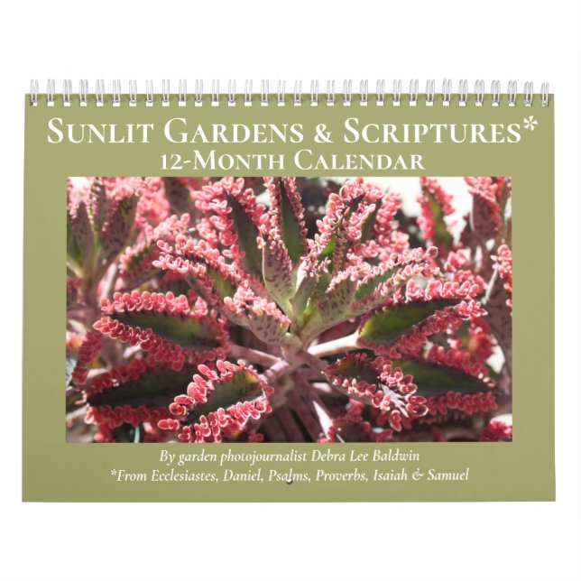 Calendário Jardins e Escrituras Sunlitis (Capa)